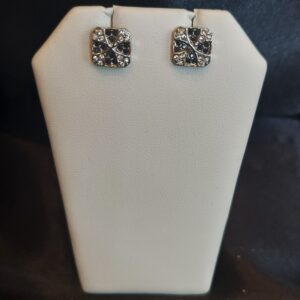 Black Stones Fashion Earrings